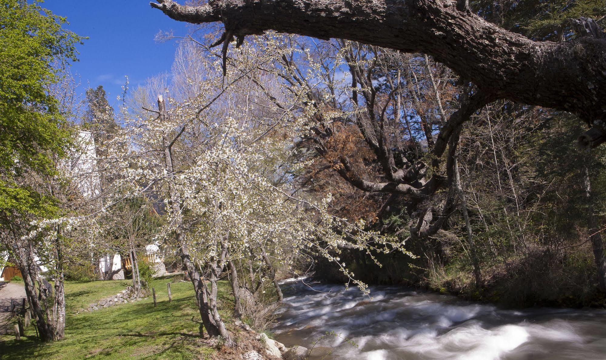 Cabanas Rucaleufu San Martín de los Andes Eksteriør billede